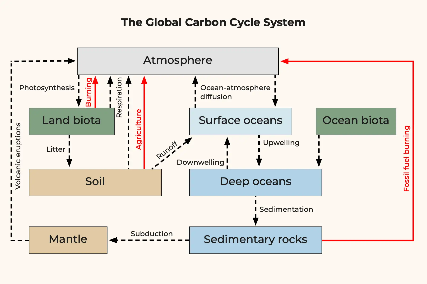The Global Carbon Cycle System